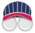 Harrisburg Senators Icon
